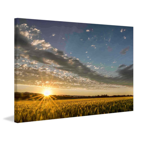 Sunset Over the Golden Meadow // Painting Print on Wrapped Canvas (12"W x 8"H x 1.5"D)