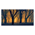 Woods Aglow // Painting Print on Wrapped Canvas (12"W x 6"H x 1.5"D)