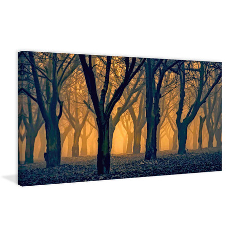 Woods Aglow // Painting Print on Wrapped Canvas (12"W x 6"H x 1.5"D)