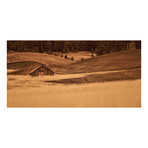 Brown Barn in the Blonde Grasses // Painting Print on Wrapped Canvas (12"W x 6"H x 1.5"D)