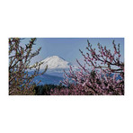 Mt. Adams in Spring // Painting Print on Wrapped Canvas (12"W x 6"H x 1.5"D)