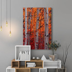 Autumn Splendor // Painting Print on Wrapped Canvas (8"W x 12"H x 1.5"D)