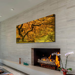 Golden Maple // Painting Print on Wrapped Canvas (12"W x 6"H x 1.5"D)