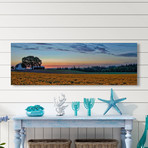 Sundown on the Farm // Painting Print on Wrapped Canvas (15"W x 5"H x 1.5"D)
