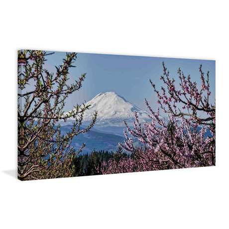 Mt. Adams in Spring // Painting Print on Wrapped Canvas (12"W x 6"H x 1.5"D)