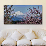 Mt. Adams in Spring // Painting Print on Wrapped Canvas (12"W x 6"H x 1.5"D)