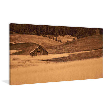 Brown Barn in the Blonde Grasses // Painting Print on Wrapped Canvas (12"W x 6"H x 1.5"D)