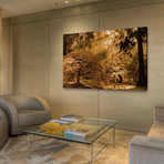 Bathed in Morning Light // Painting Print on Wrapped Canvas (12"W x 8"H x 1.5"D)