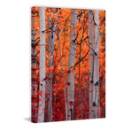 Autumn Splendor // Painting Print on Wrapped Canvas (8"W x 12"H x 1.5"D)