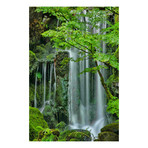 Silky Falls // Painting Print on Wrapped Canvas (8"W x 12"H x 1.5"D)