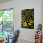 Magical Tree // Painting Print on Wrapped Canvas (8"W x 12"H x 1.5"D)