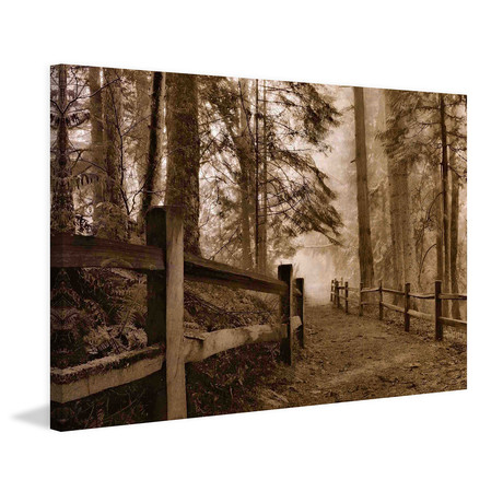 Down the Misty Path // Painting Print on Wrapped Canvas (12"W x 8"H x 1.5"D)