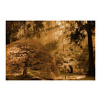 Bathed in Morning Light // Painting Print on Wrapped Canvas (12"W x 8"H x 1.5"D)