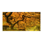 Golden Maple // Painting Print on Wrapped Canvas (12"W x 6"H x 1.5"D)