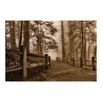 Down the Misty Path // Painting Print on Wrapped Canvas (12"W x 8"H x 1.5"D)