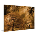 Bathed in Morning Light // Painting Print on Wrapped Canvas (12"W x 8"H x 1.5"D)