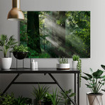 Light Through the Trees // Painting Print on Wrapped Canvas (12"W x 8"H x 1.5"D)