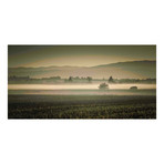 Dawn’s Early Light // Painting Print on Wrapped Canvas (12"W x 6"H x 1.5"D)