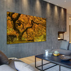 Golden Maple // Painting Print on Wrapped Canvas (12"W x 6"H x 1.5"D)