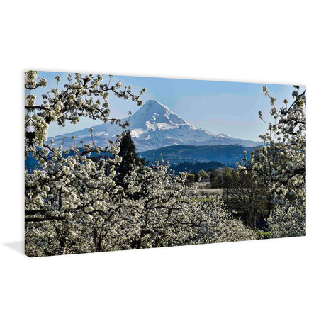Pear Blossom Majesty // Painting Print on Wrapped Canvas (12"W x 6"H x 1.5"D)