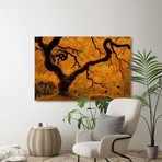 Limned in Ligh // Painting Print on Wrapped Canvas (12"W x 8"H x 1.5"D)