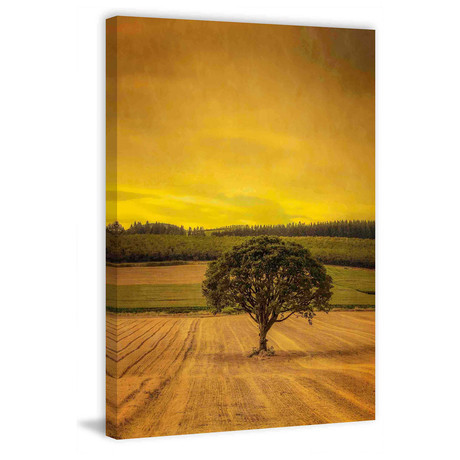 Lone Tree at Sunset // Painting Print on Wrapped Canvas (8"W x 12"H x 1.5"D)
