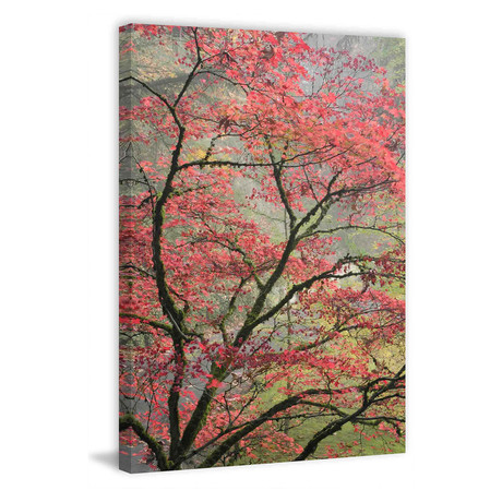Red Zen // Painting Print on Wrapped Canvas (8"W x 12"H x 1.5"D)