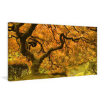 Golden Maple // Painting Print on Wrapped Canvas (12"W x 6"H x 1.5"D)