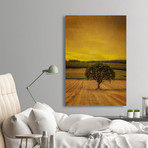 Lone Tree at Sunset // Painting Print on Wrapped Canvas (8"W x 12"H x 1.5"D)