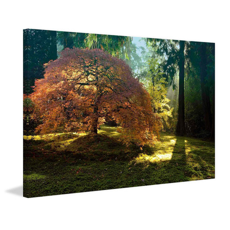 In the Gentle Autumn Light // Painting Print on Wrapped Canvas (12"W x 8"H x 1.5"D)