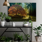 In the Gentle Autumn Light // Painting Print on Wrapped Canvas (12"W x 8"H x 1.5"D)