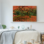 Fallen Leaves // Painting Print on Wrapped Canvas (12"W x 8"H x 1.5"D)