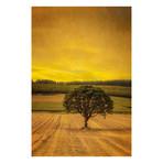 Lone Tree at Sunset // Painting Print on Wrapped Canvas (8"W x 12"H x 1.5"D)