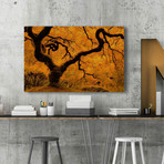 Limned in Ligh // Painting Print on Wrapped Canvas (12"W x 8"H x 1.5"D)