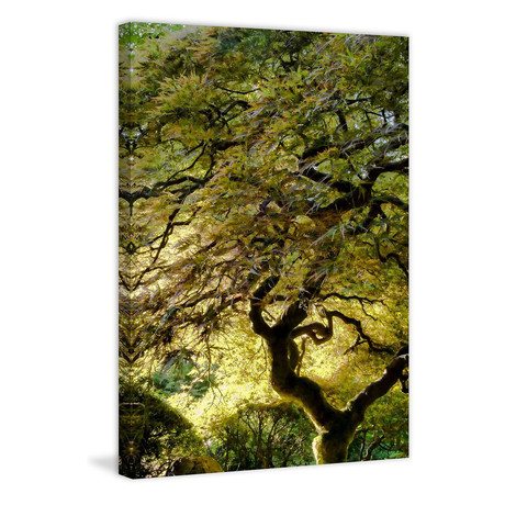 Magical Tree // Painting Print on Wrapped Canvas (8"W x 12"H x 1.5"D)