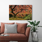Autumn Magnificence // Painting Print on Wrapped Canvas (12"W x 8"H x 1.5"D)