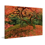 Fallen Leaves // Painting Print on Wrapped Canvas (12"W x 8"H x 1.5"D)