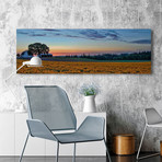 Sundown on the Farm // Painting Print on Wrapped Canvas (15"W x 5"H x 1.5"D)