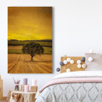 Lone Tree at Sunset // Painting Print on Wrapped Canvas (8"W x 12"H x 1.5"D)