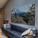 Pear Blossom Majesty // Painting Print on Wrapped Canvas (12"W x 6"H x 1.5"D)