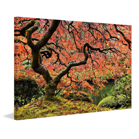 Autumn Magnificence // Painting Print on Wrapped Canvas (12"W x 8"H x 1.5"D)