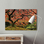 Autumn Magnificence // Painting Print on Wrapped Canvas (12"W x 8"H x 1.5"D)