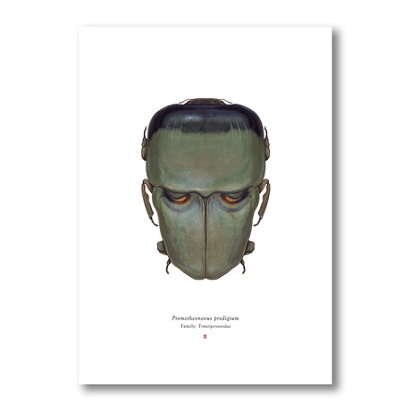 Signed Limited Edition Classic Horror Frankenstein-inspired Print
