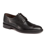 Daley Wingtip Shoe // Black (US: 7)