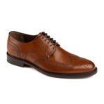 Daley Wingtip Shoe // Tan (US: 7)