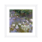 Water Lilies, 1922 // White Frame