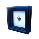 Mini Mantis Shadow Box