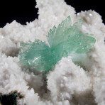 Green Apophyllite Flower on White Matrix