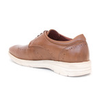 Santoro Shoe // Brown (Euro: 40)