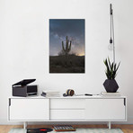 Saguaro Milky Way // Michael Perea